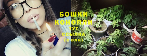 стаф Магадан